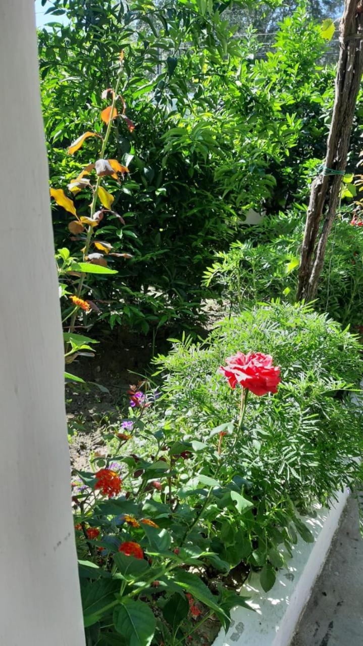 Guest House Emi Berat Exterior photo